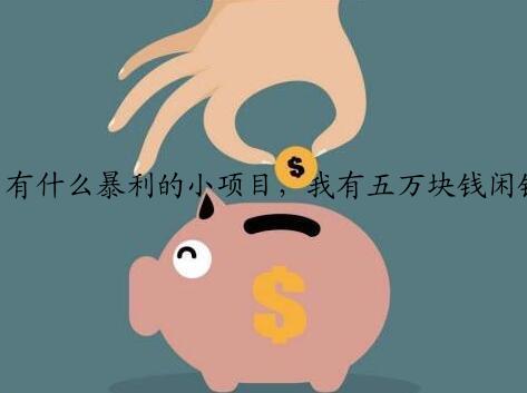 有什么暴利的小项目，我有五万块钱闲钱不知道做什么投资好？