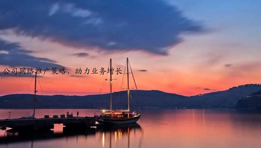 公司网络推广策略，助力业务增长