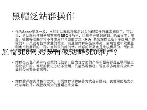 黑帽SEO网站如何做站群SEO推广？