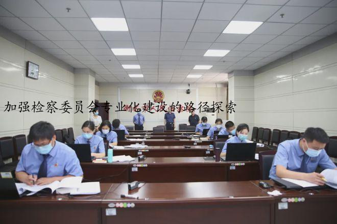 加强检察委员会专业化建设的路径探索