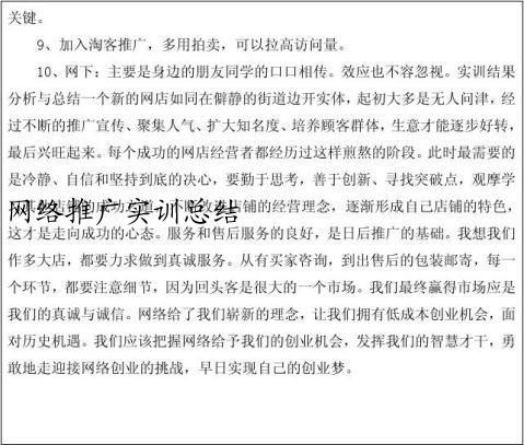 网络推广实训总结