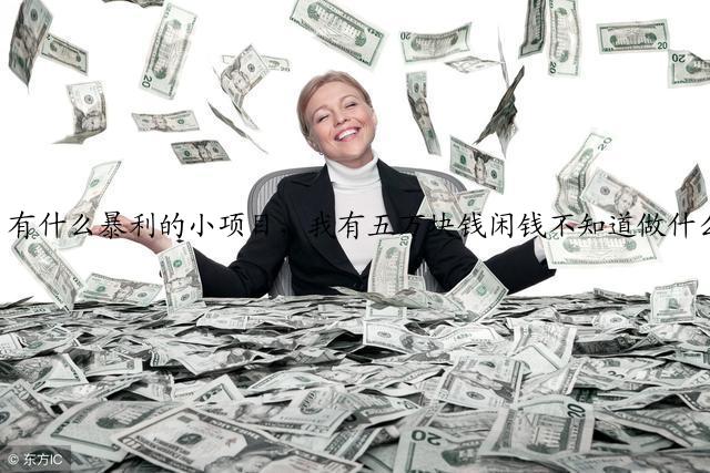 有什么暴利的小项目，我有五万块钱闲钱不知道做什么投资好？