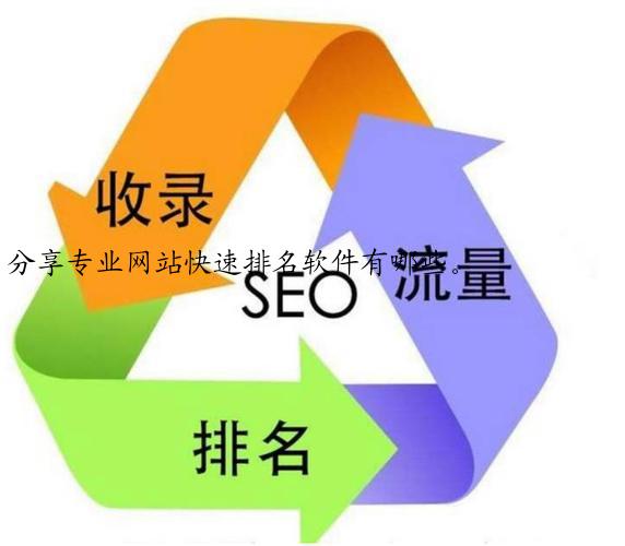 分享专业网站快速排名软件有哪些。