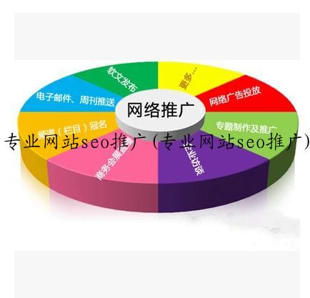 专业网站seo推广(专业网站seo推广)