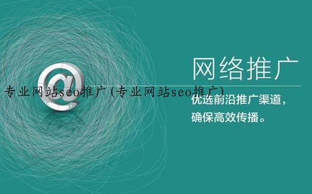 专业网站seo推广(专业网站seo推广)