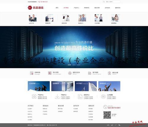 专业企业网站建设（专业企业网站建设服务）