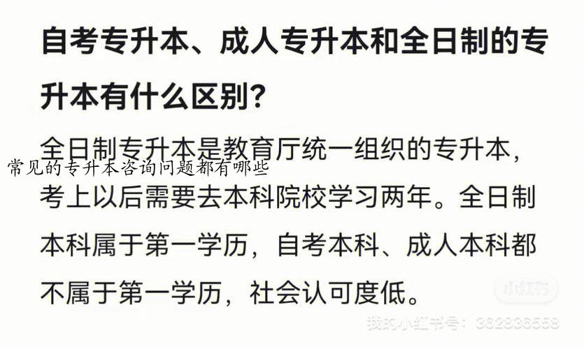 常见的专升本咨询问题都有哪些