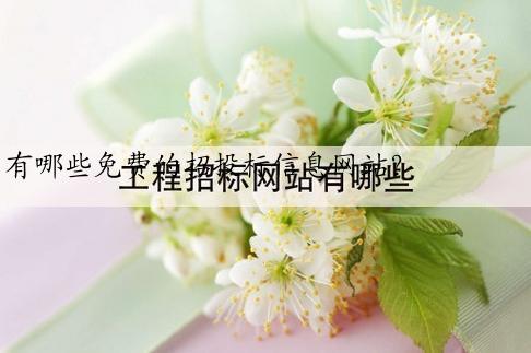 有哪些免费的招投标信息网站？