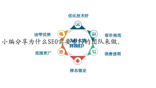 小编分享为什么SEO需要专门的团队来做。