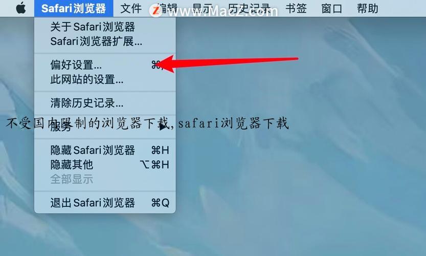 不受国内限制的浏览器下载,safari浏览器下载