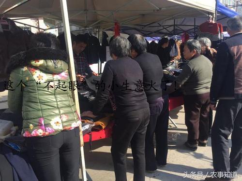 这个“不起眼”的小生意火了！