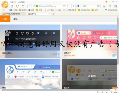 哪个浏览器好用又快没有广告（专门看网站的浏览器）