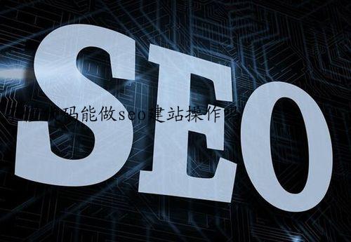 不懂代码能做seo建站操作吗