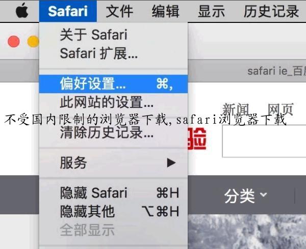 不受国内限制的浏览器下载,safari浏览器下载