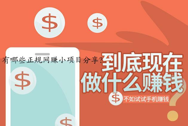 有哪些正规网赚小项目分享？
