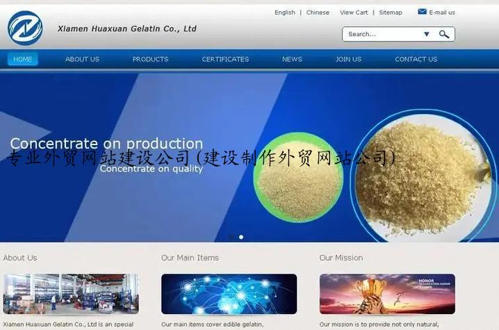 专业外贸网站建设公司(建设制作外贸网站公司)
