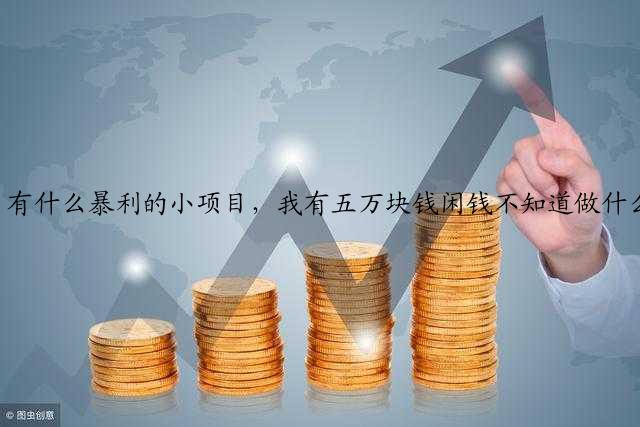 有什么暴利的小项目，我有五万块钱闲钱不知道做什么投资好？