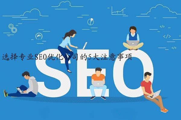 选择专业SEO优化公司的5大注意事项