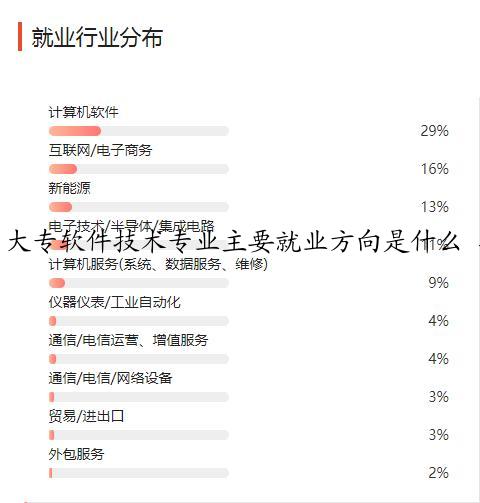 大专软件技术专业主要就业方向是什么 毕业以后工资高吗