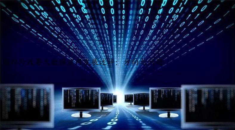 国内外政务大数据应用发展述评：方向与问题