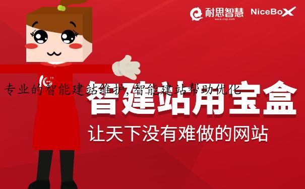 专业的智能建站维护,智能建站帮助优化