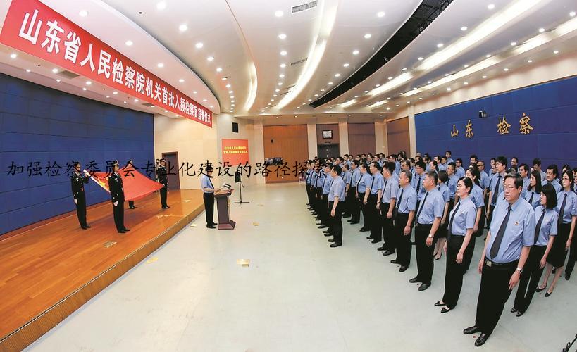 加强检察委员会专业化建设的路径探索