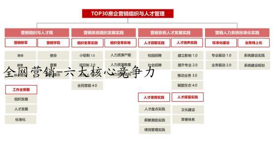 全网营销-六大核心竞争力