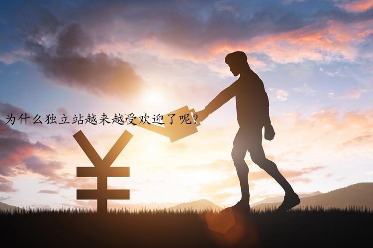 为什么独立站越来越受欢迎了呢？