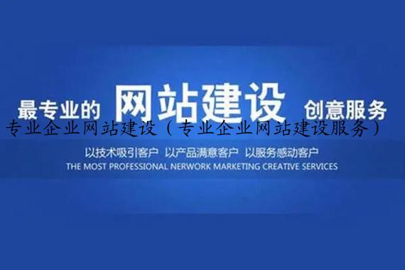 专业企业网站建设（专业企业网站建设服务）
