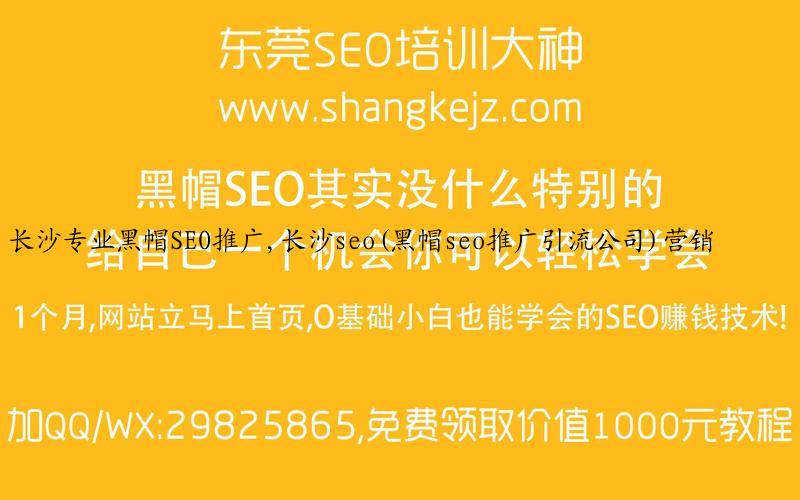 长沙专业黑帽SEO推广,长沙seo(黑帽seo推广引流公司)营销