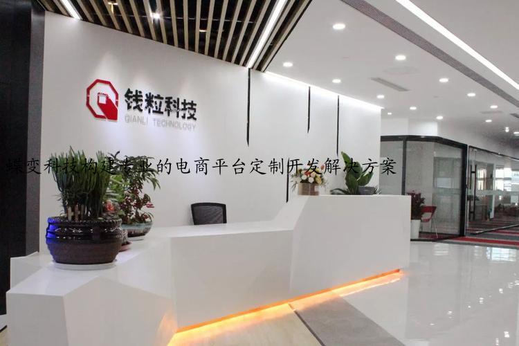 蝶变科技构建专业的电商平台定制开发解决方案