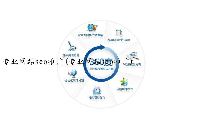 专业网站seo推广(专业网站seo推广)