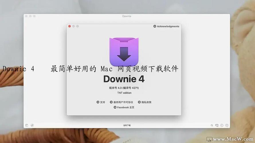 Downie 4 – 最简单好用的 Mac 网页视频下载软件