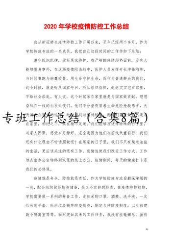 专班工作总结（合集8篇）