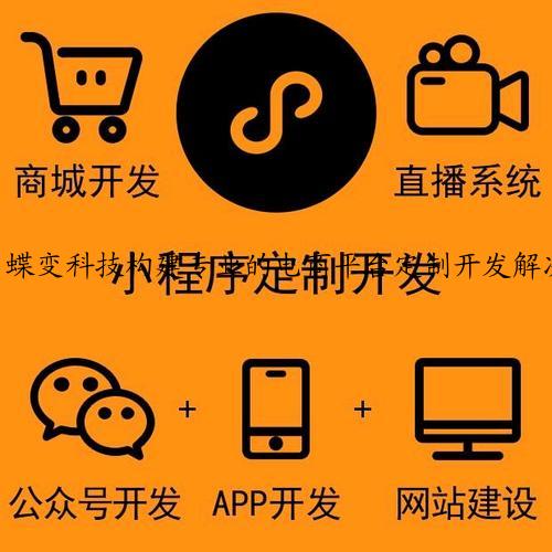 蝶变科技构建专业的电商平台定制开发解决方案