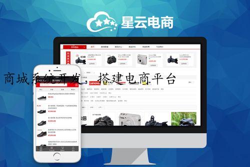 商城系统开发，搭建电商平台