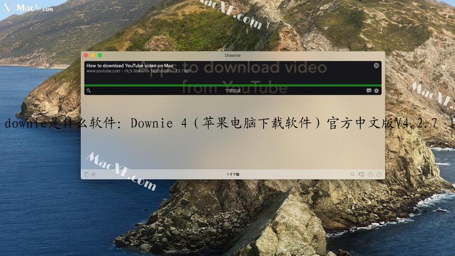 downie是什么软件：Downie 4（苹果电脑下载软件）官方中文版V4.2.7 ｜ 最强mac下载软件之一