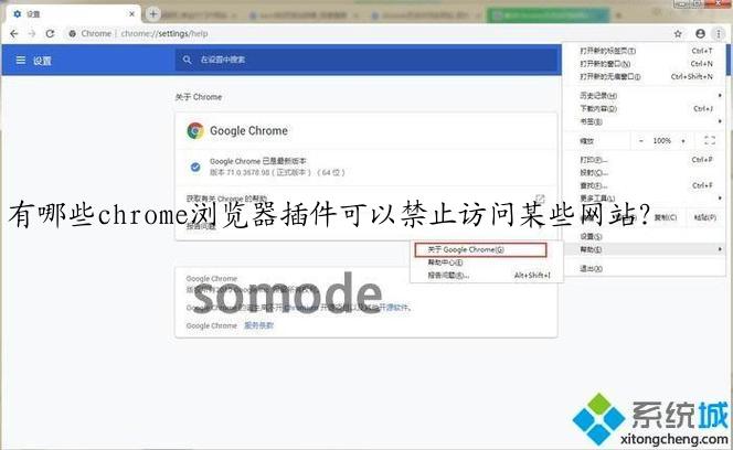 有哪些chrome浏览器插件可以禁止访问某些网站？