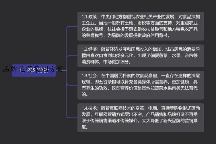品牌运营策划方案