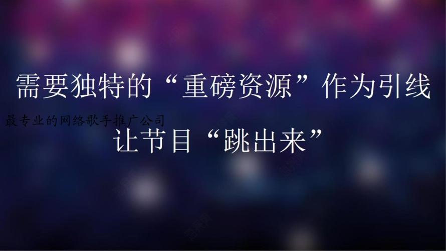 最专业的网络歌手推广公司