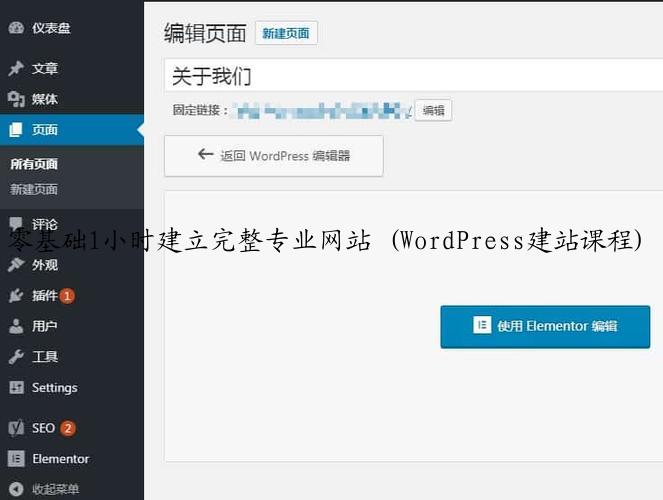 零基础1小时建立完整专业网站 (WordPress建站课程)