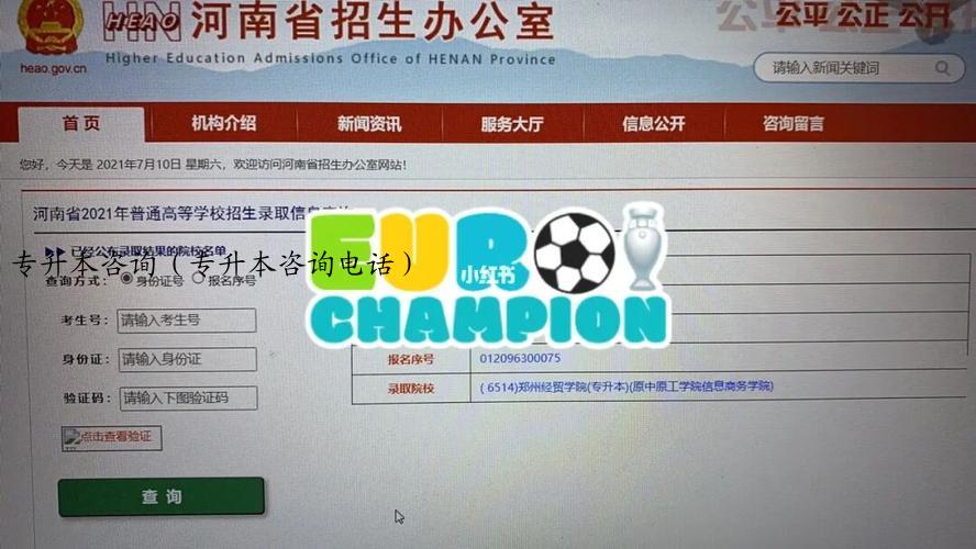 专升本咨询（专升本咨询电话）