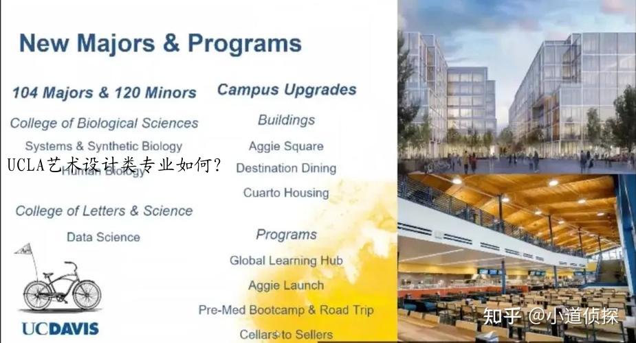 UCLA艺术设计类专业如何？