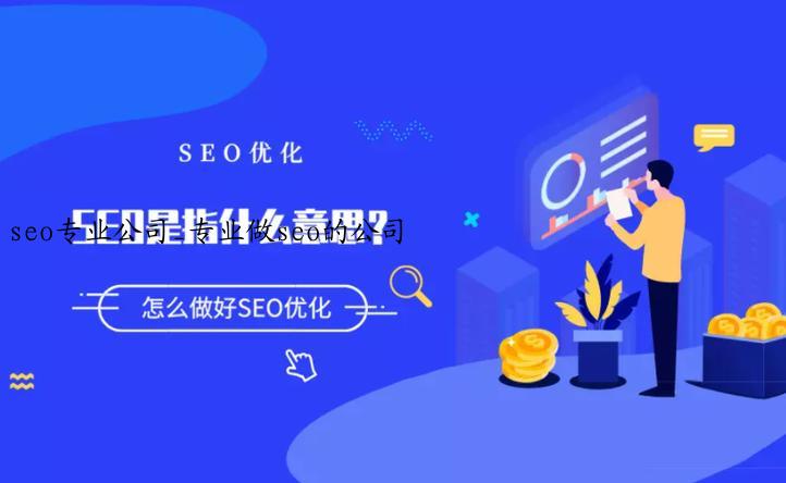 seo专业公司_专业做seo的公司