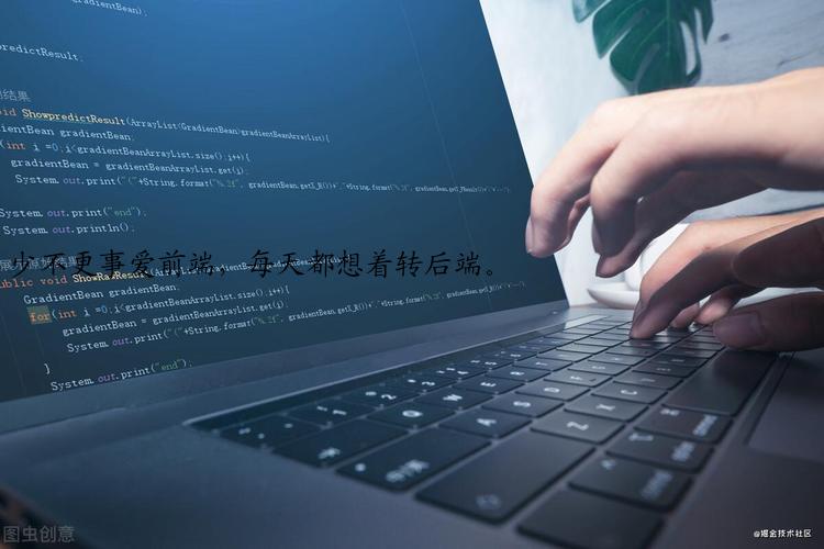 少不更事爱前端，每天都想着转后端。