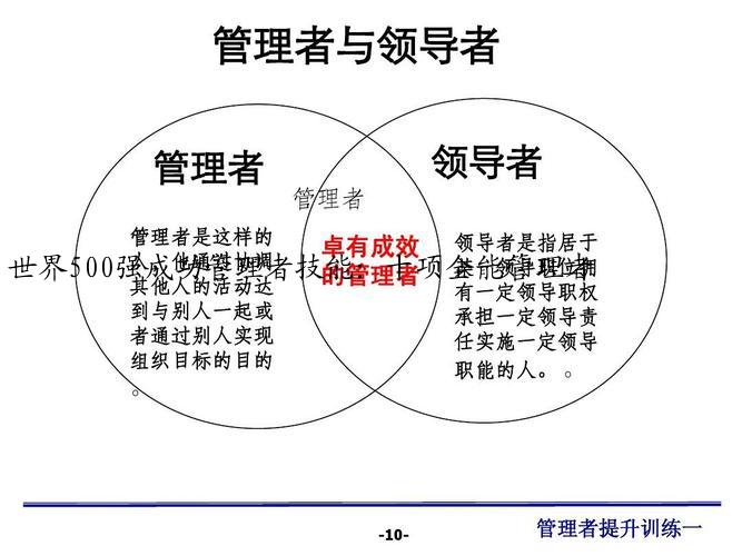 世界500强成功管理者技能：十项全能管理者