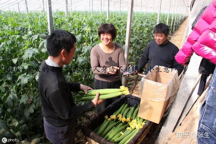 2020年最火的小本生意(穷人身边不起眼的小生意)