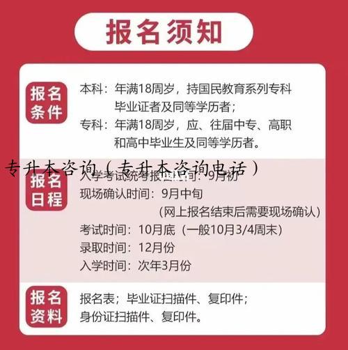 专升本咨询（专升本咨询电话）